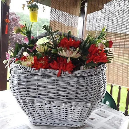 Kuca Za Odmor Zicanka Prázdninový dům