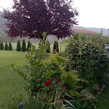 Kuca Za Odmor Zicanka Kraljevo