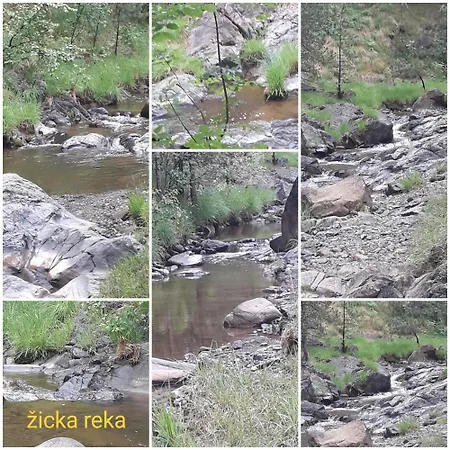 Kuca Za Odmor Zicanka Kraljevo